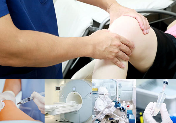 神戸ひざ関節症クリニック 兵庫県神戸市中央区加納町４丁目３ ２ 近藤ビル7f Tel 01 013 712 お医者さんガイド 医療機関情報と口コミ 評判